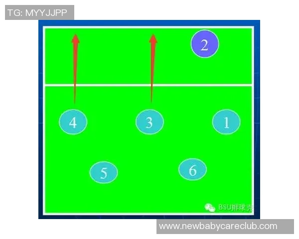 排球专题：聚焦南京排球队的战术