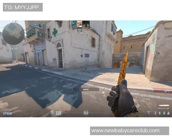 CS_GO巨献：探秘V5的状态